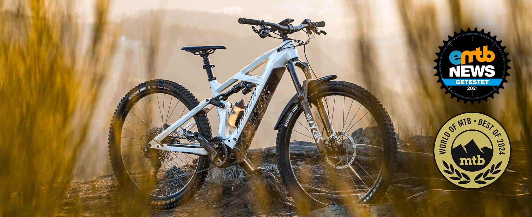 MTB Schutzblech